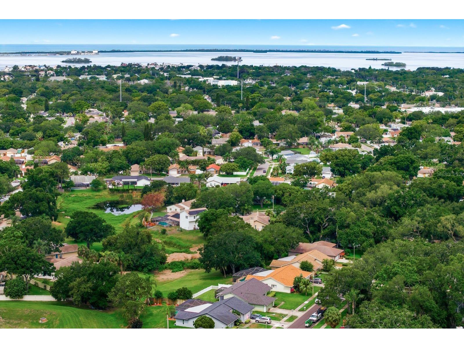 341 Arbor Drive W Palm Harbor FL 34683 TB8517549 image50