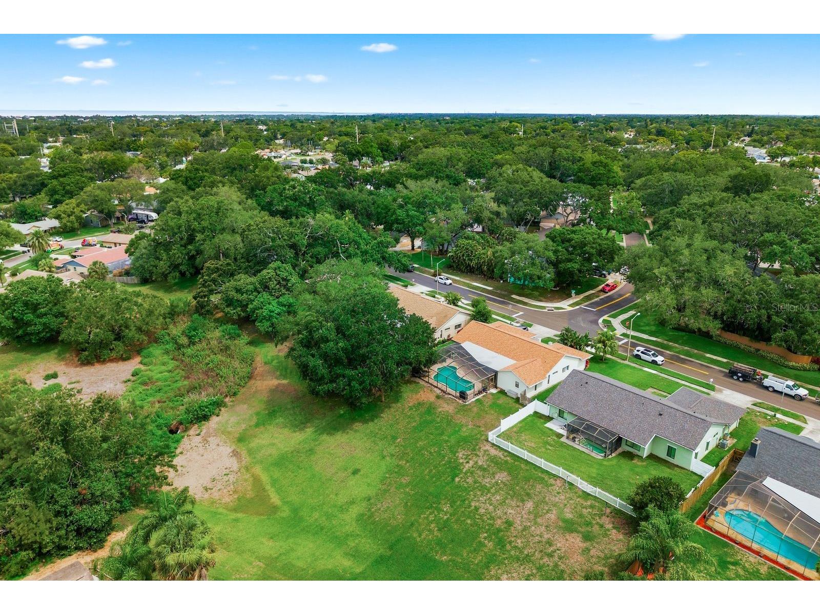341 Arbor Drive W Palm Harbor FL 34683 TB8517549 image51