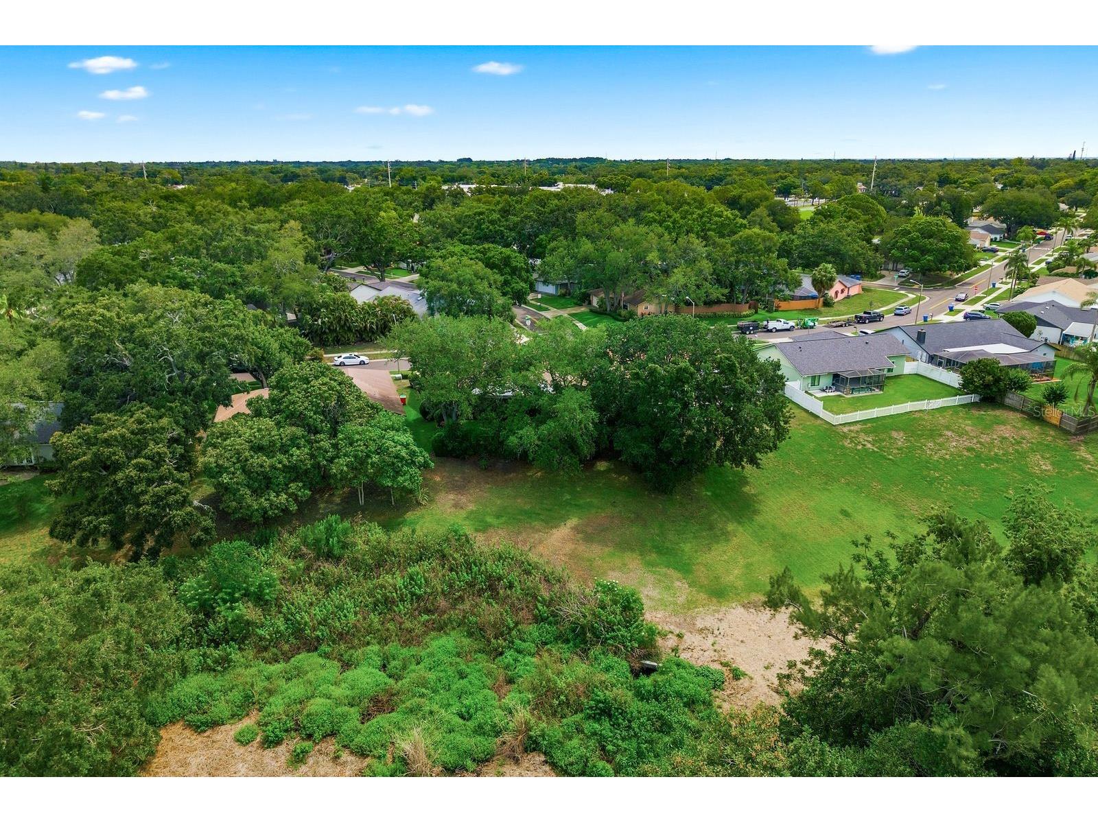 341 Arbor Drive W Palm Harbor FL 34683 TB8517549 image52