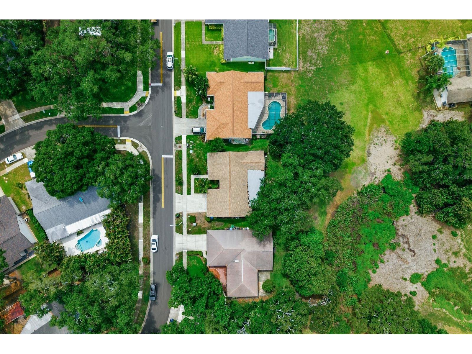 341 Arbor Drive W Palm Harbor FL 34683 TB8517549 image53