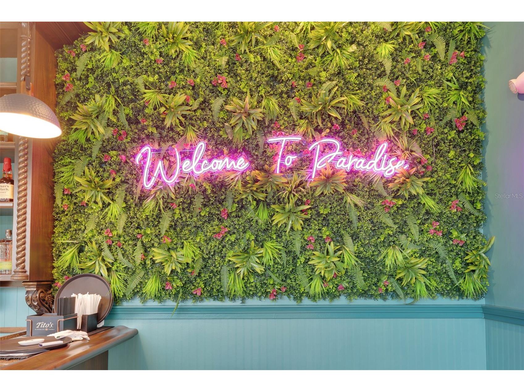 341 Captiva Drive Davenport FL 33896 O6373621 image47