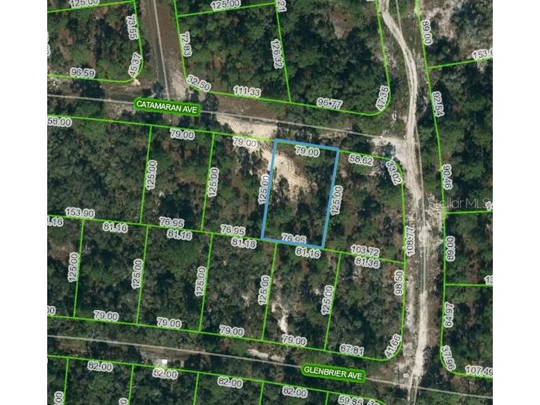 341 Catamaran Avenue Lake Placid FL 33852 OM620989 image1