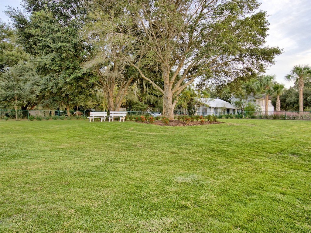 341 Conch Key Lane Lady Lake FL 32159 TB8421756 image51