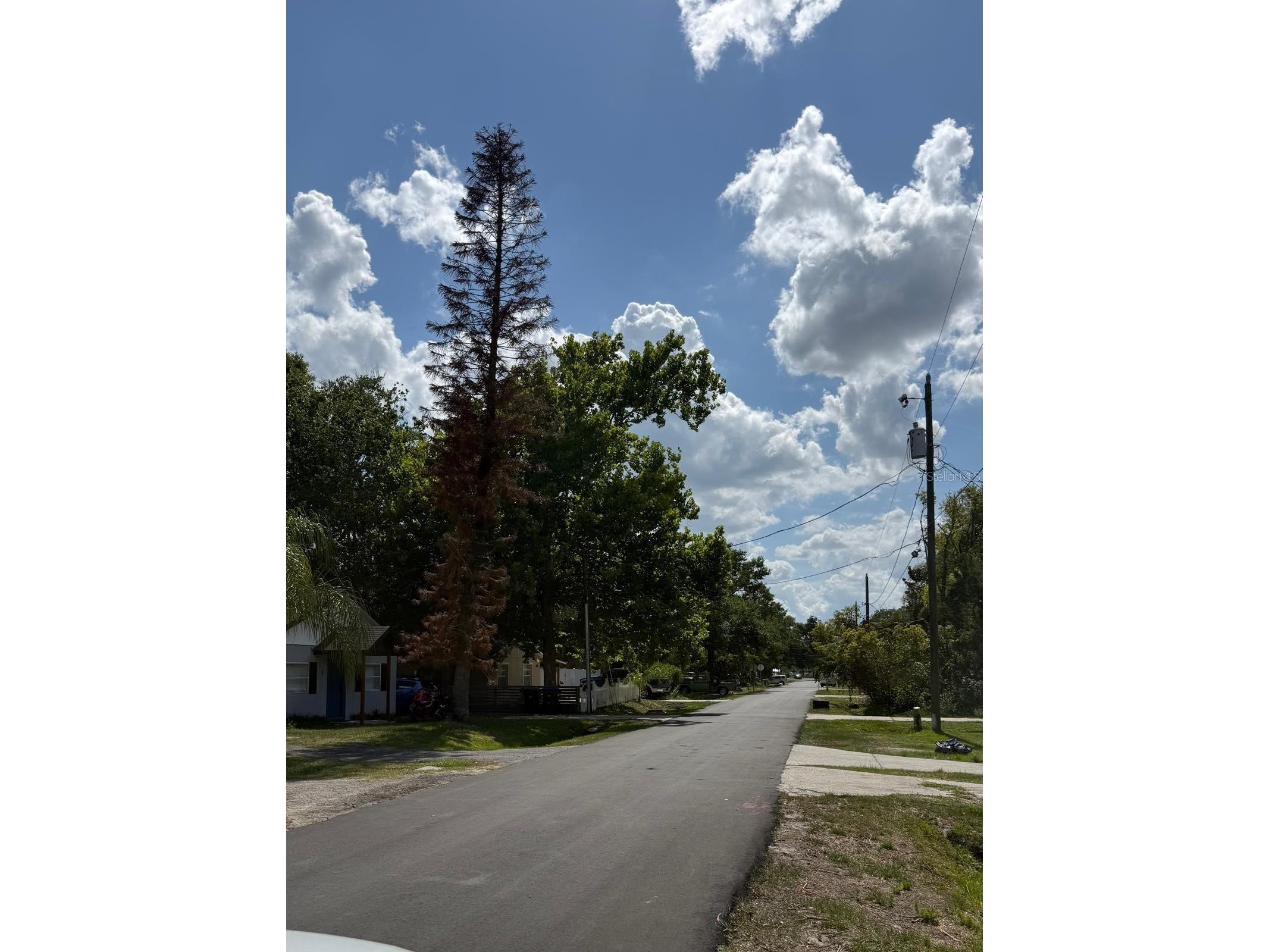 341 E Lafayette Street Winter Garden FL 34787 O6423558 image5