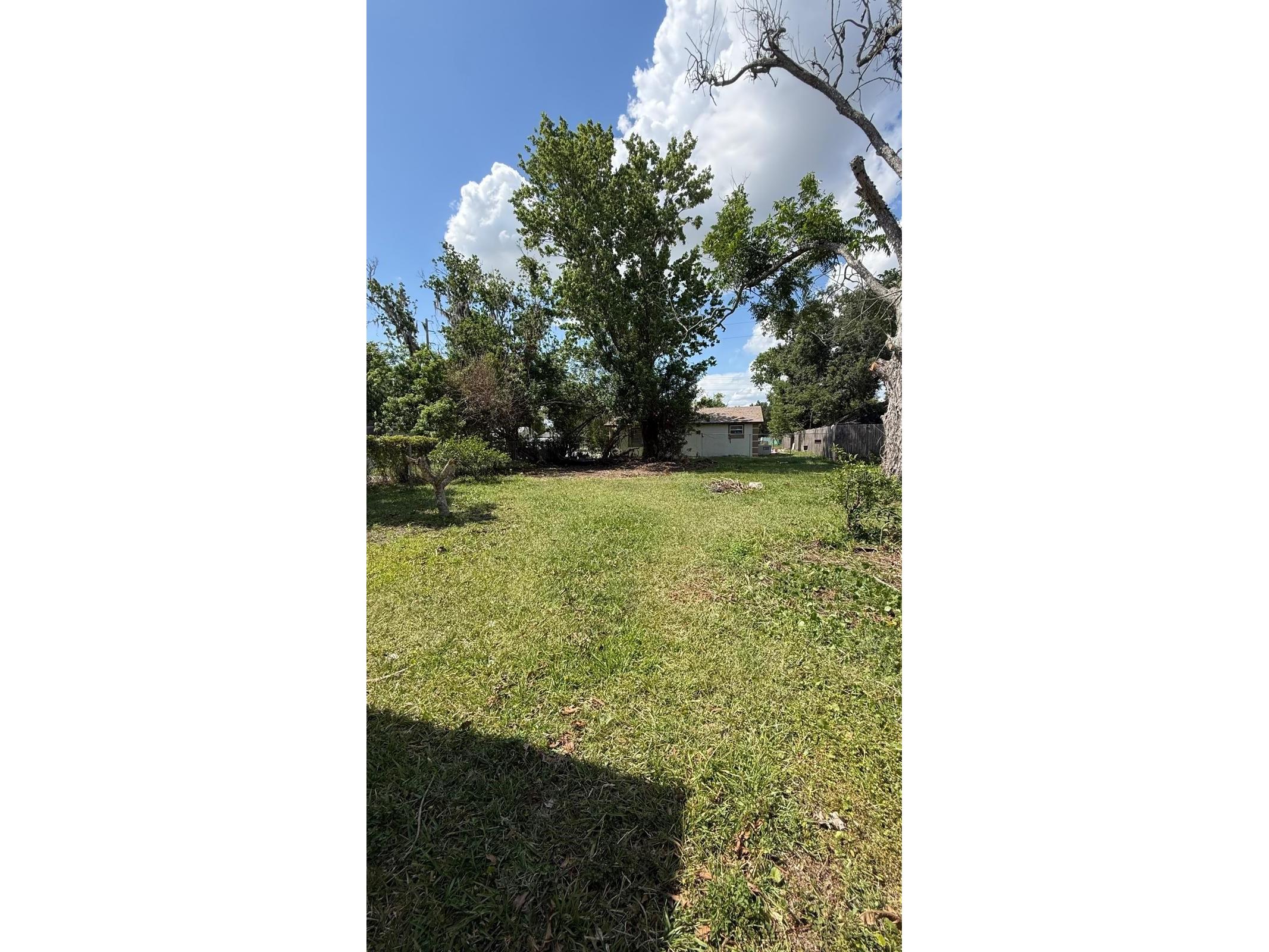 341 E Lafayette Street Winter Garden FL 34787 O6423558 image6