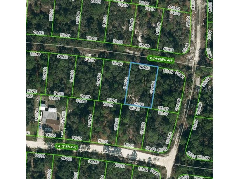 341 Glenbrier Avenue Lake Placid FL 33852 OM625015 image1