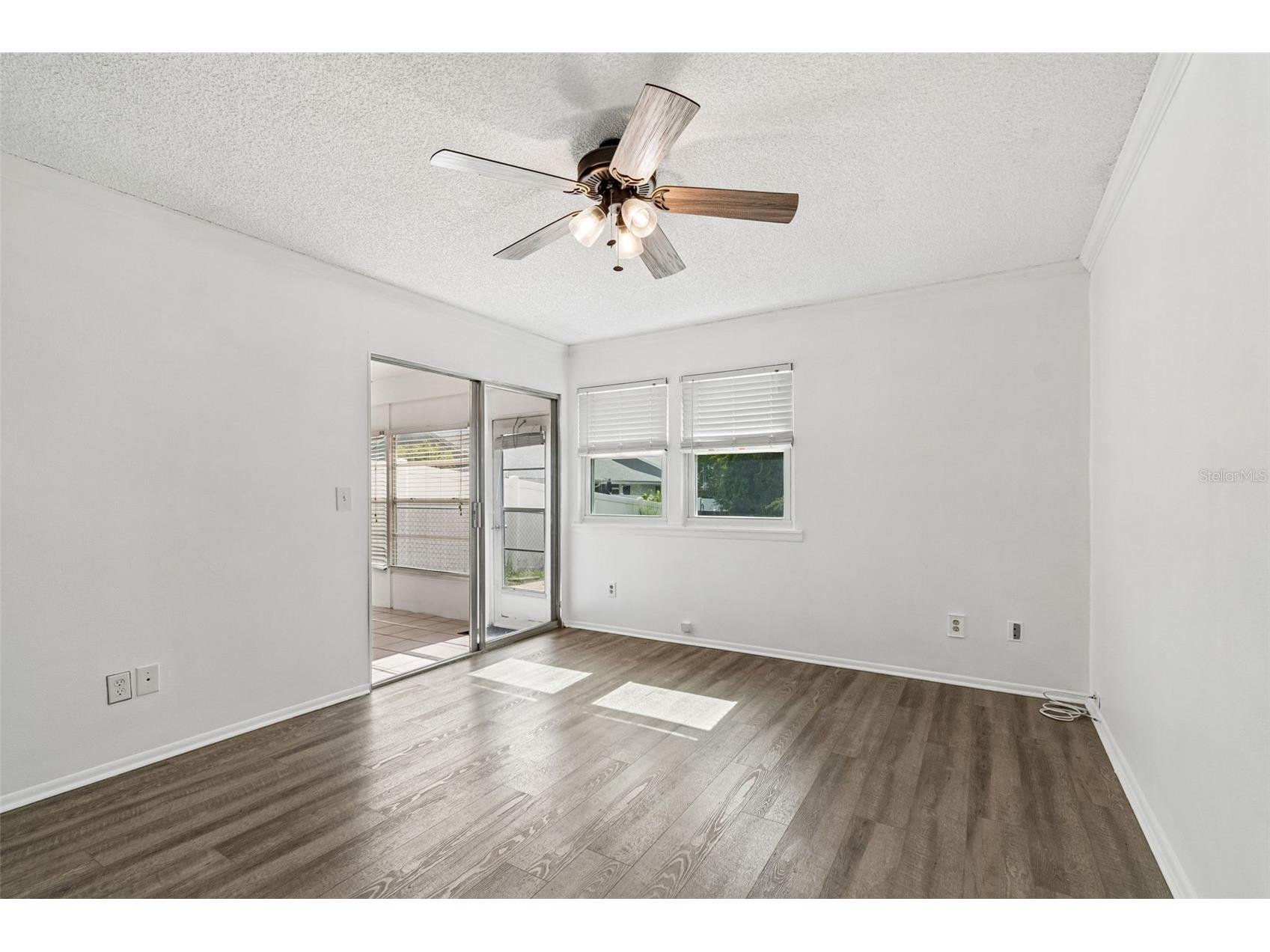 341 Hibiscus Drive Palm Harbor FL 34684 TB8528121 image14