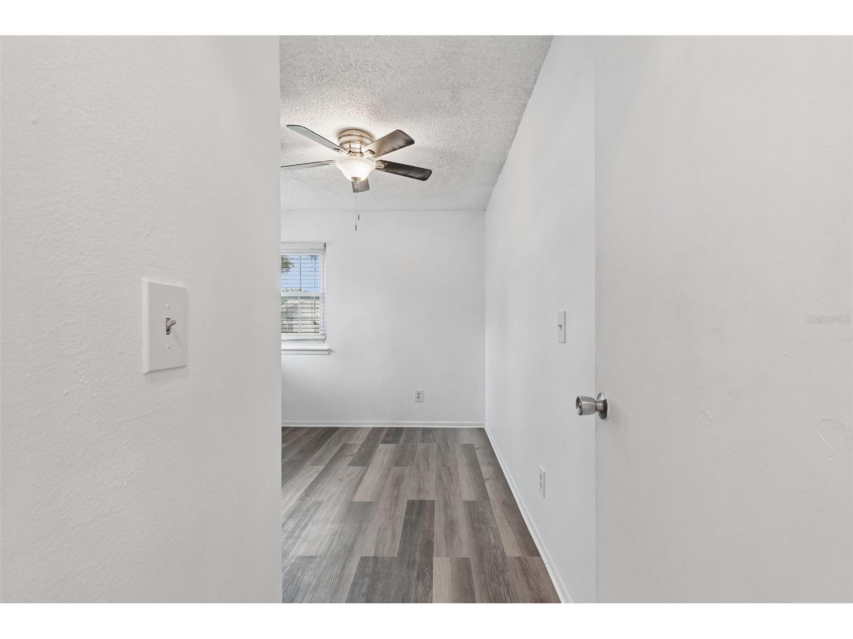 341 Hibiscus Drive Palm Harbor FL 34684 TB8528121 image15