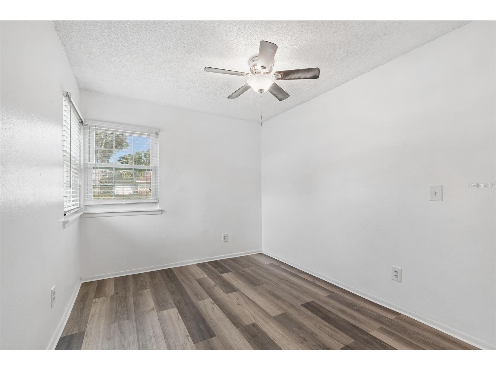 341 Hibiscus Drive Palm Harbor FL 34684 TB8528121 image19
