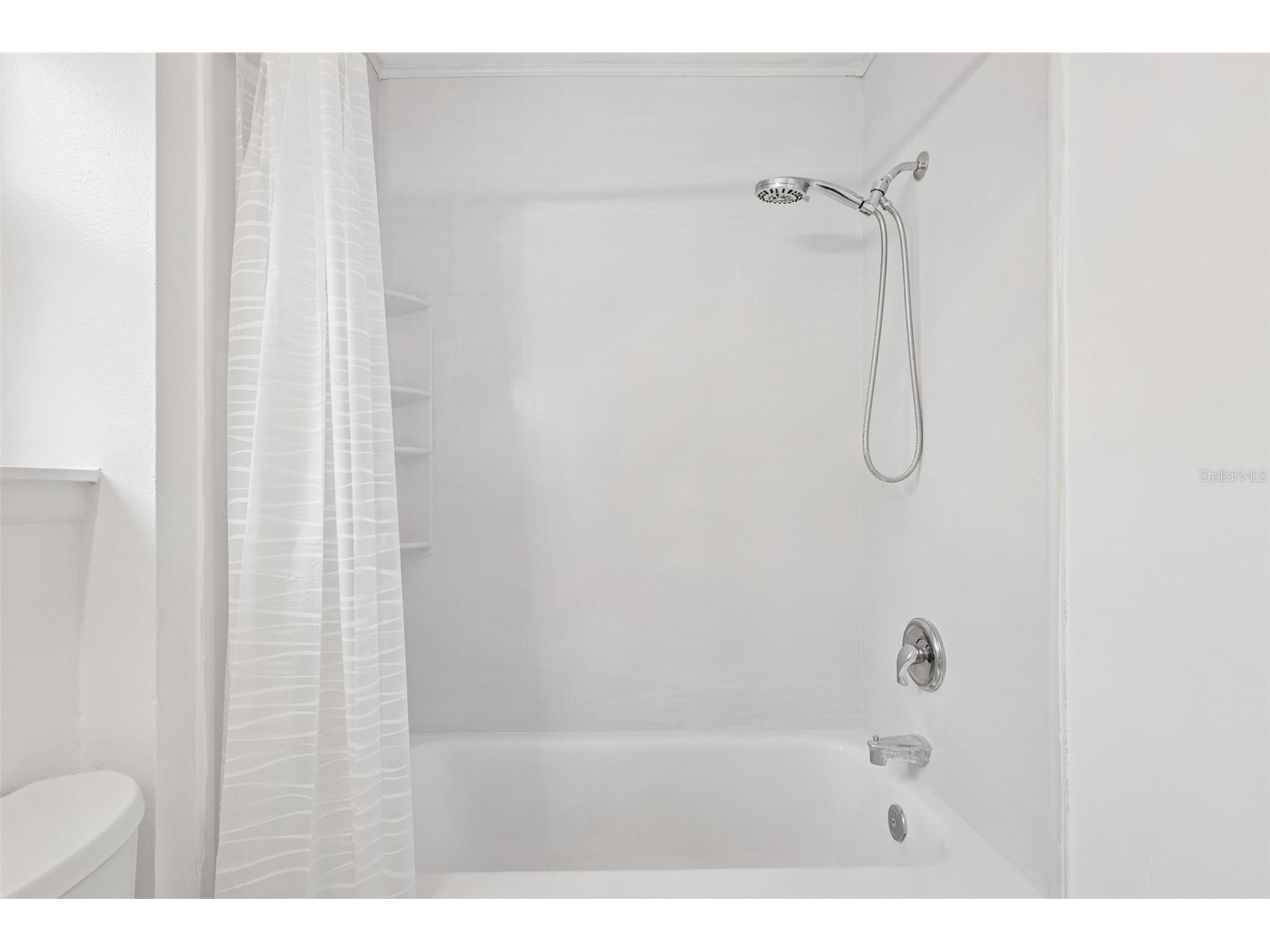 341 Hibiscus Drive Palm Harbor FL 34684 TB8528121 image21