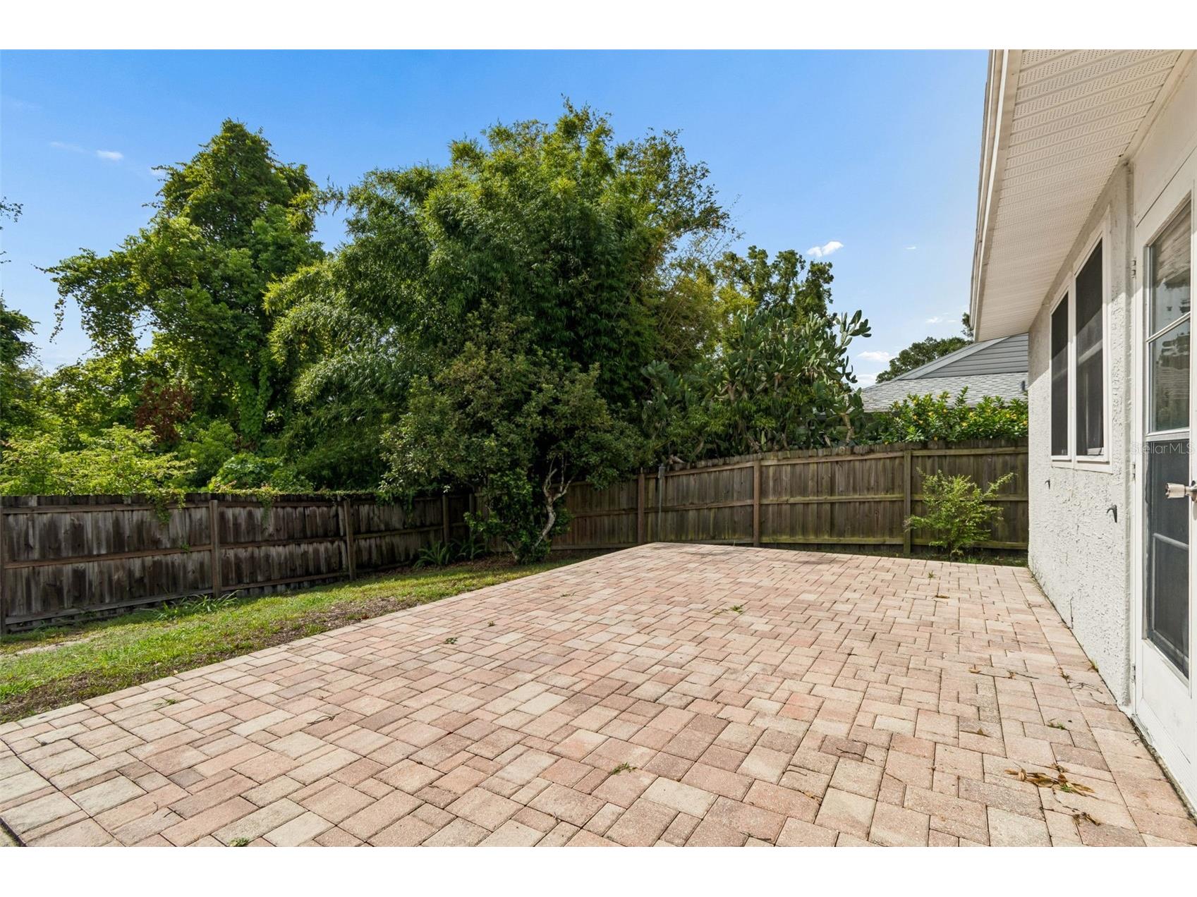341 Hibiscus Drive Palm Harbor FL 34684 TB8528121 image28