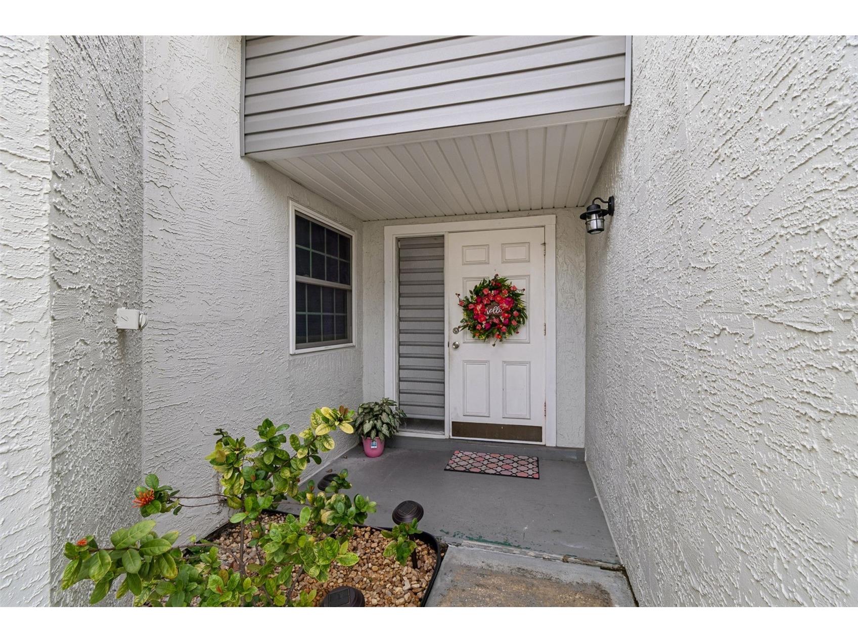 341 Hibiscus Drive Palm Harbor FL 34684 TB8528121 image3