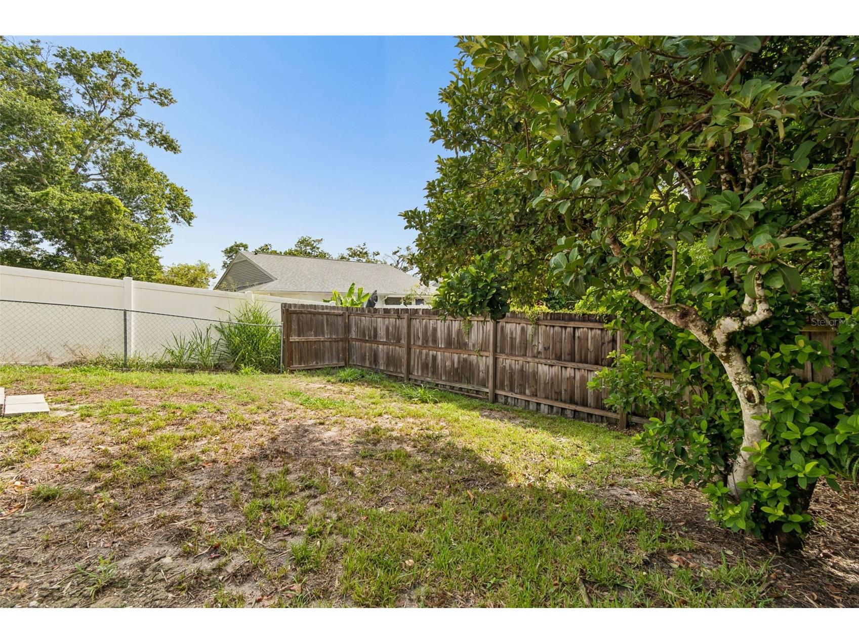 341 Hibiscus Drive Palm Harbor FL 34684 TB8528121 image30