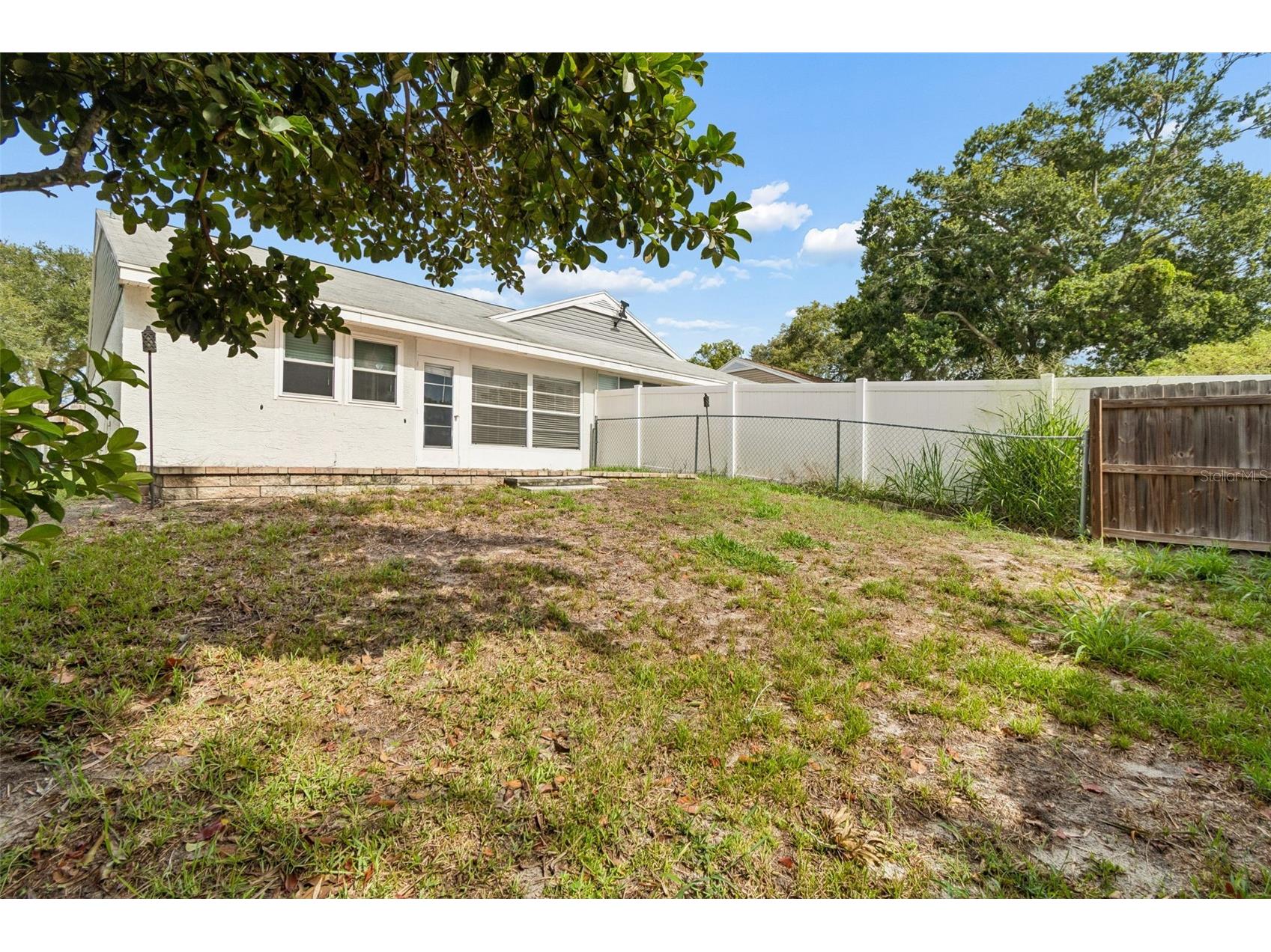 341 Hibiscus Drive Palm Harbor FL 34684 TB8528121 image31