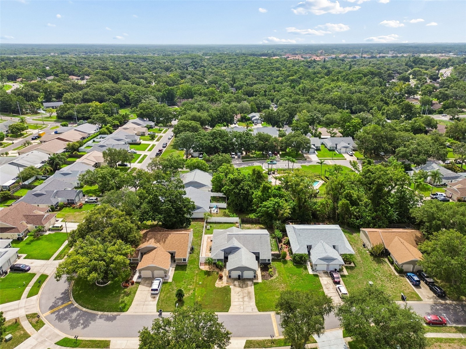341 Hibiscus Drive Palm Harbor FL 34684 TB8528121 image35