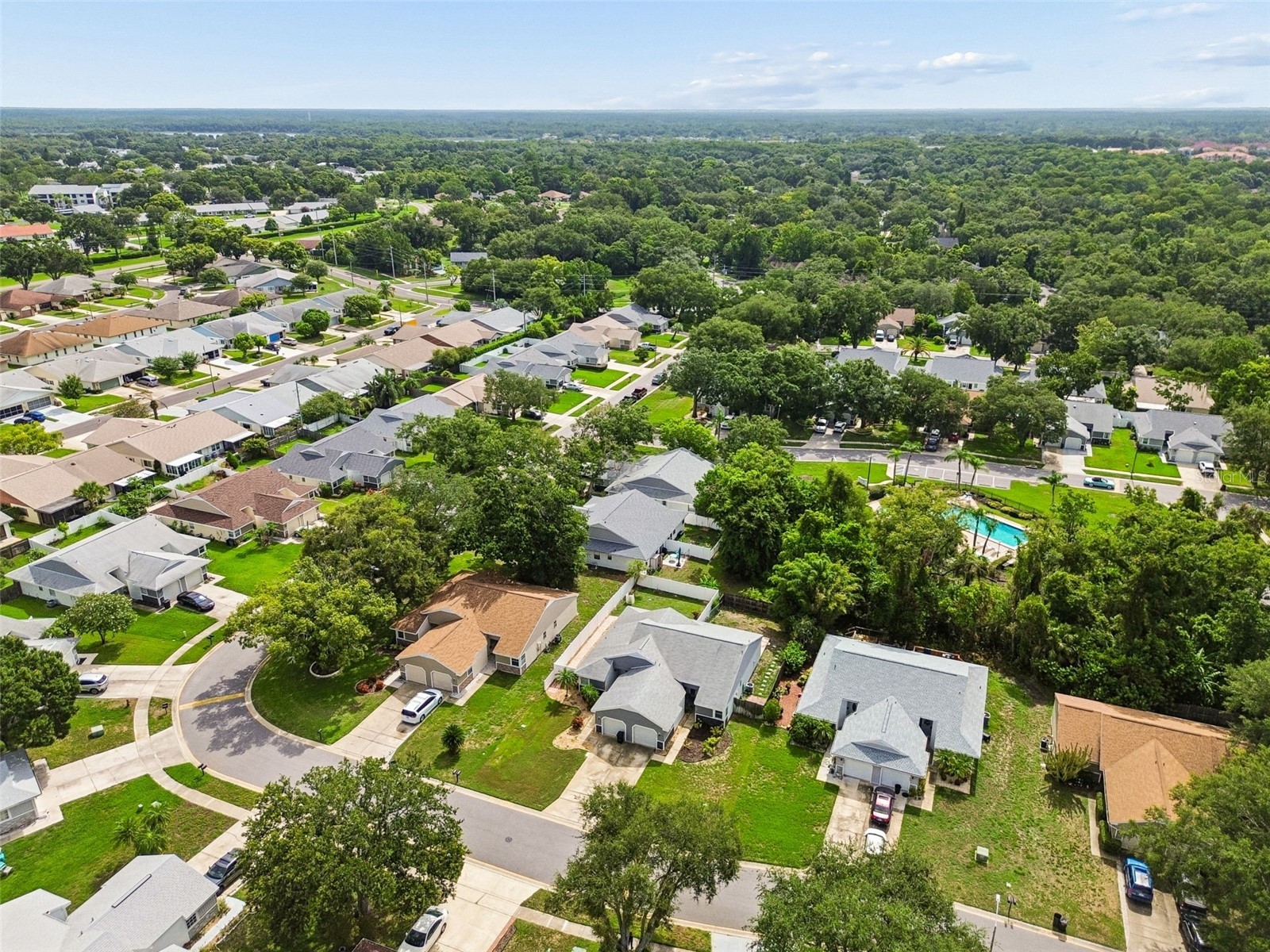 341 Hibiscus Drive Palm Harbor FL 34684 TB8528121 image36