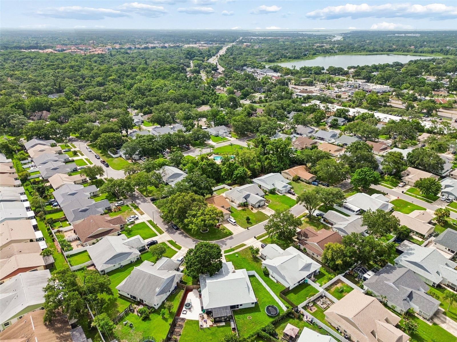 341 Hibiscus Drive Palm Harbor FL 34684 TB8528121 image37