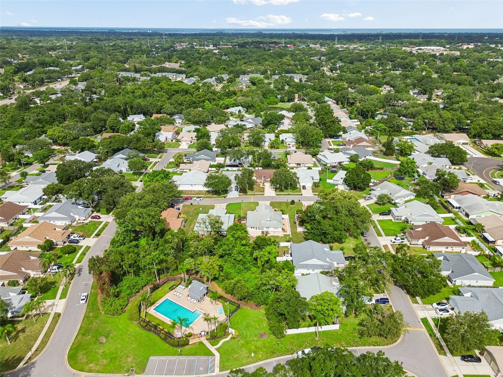 341 Hibiscus Drive Palm Harbor FL 34684 TB8528121 image38