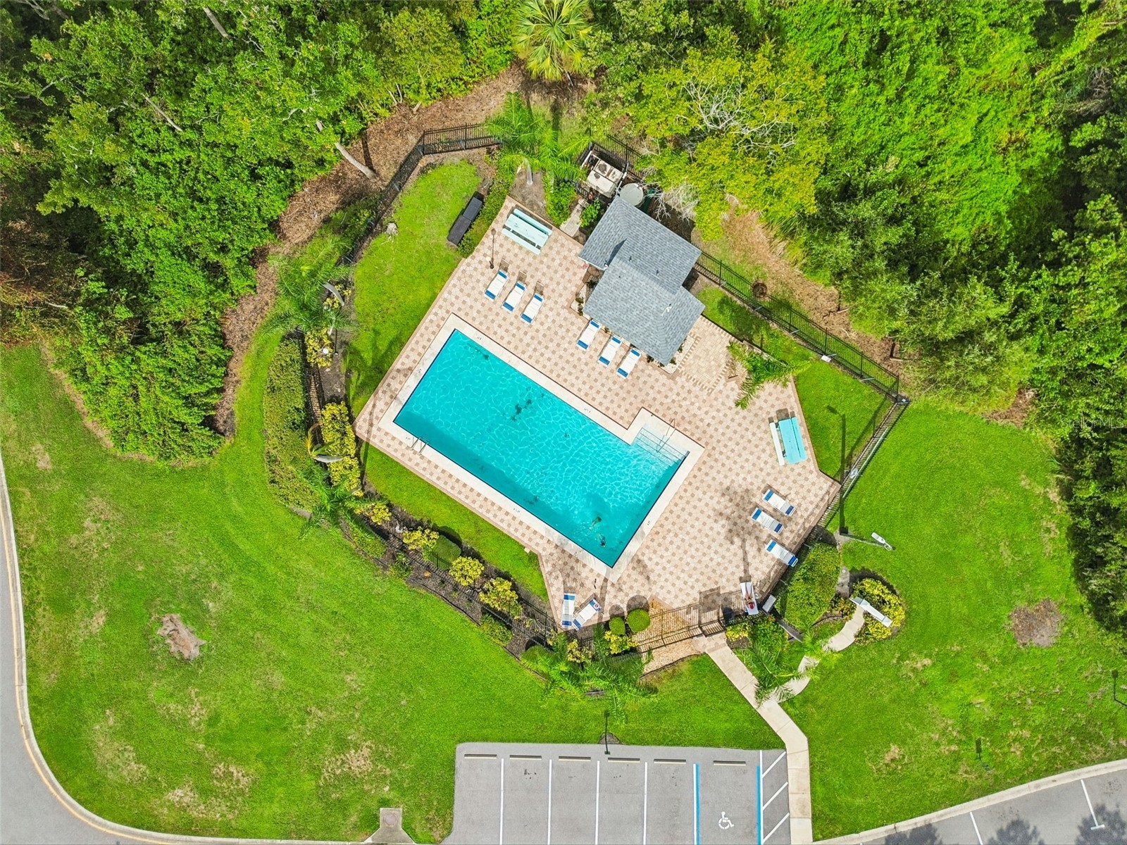 341 Hibiscus Drive Palm Harbor FL 34684 TB8528121 image39