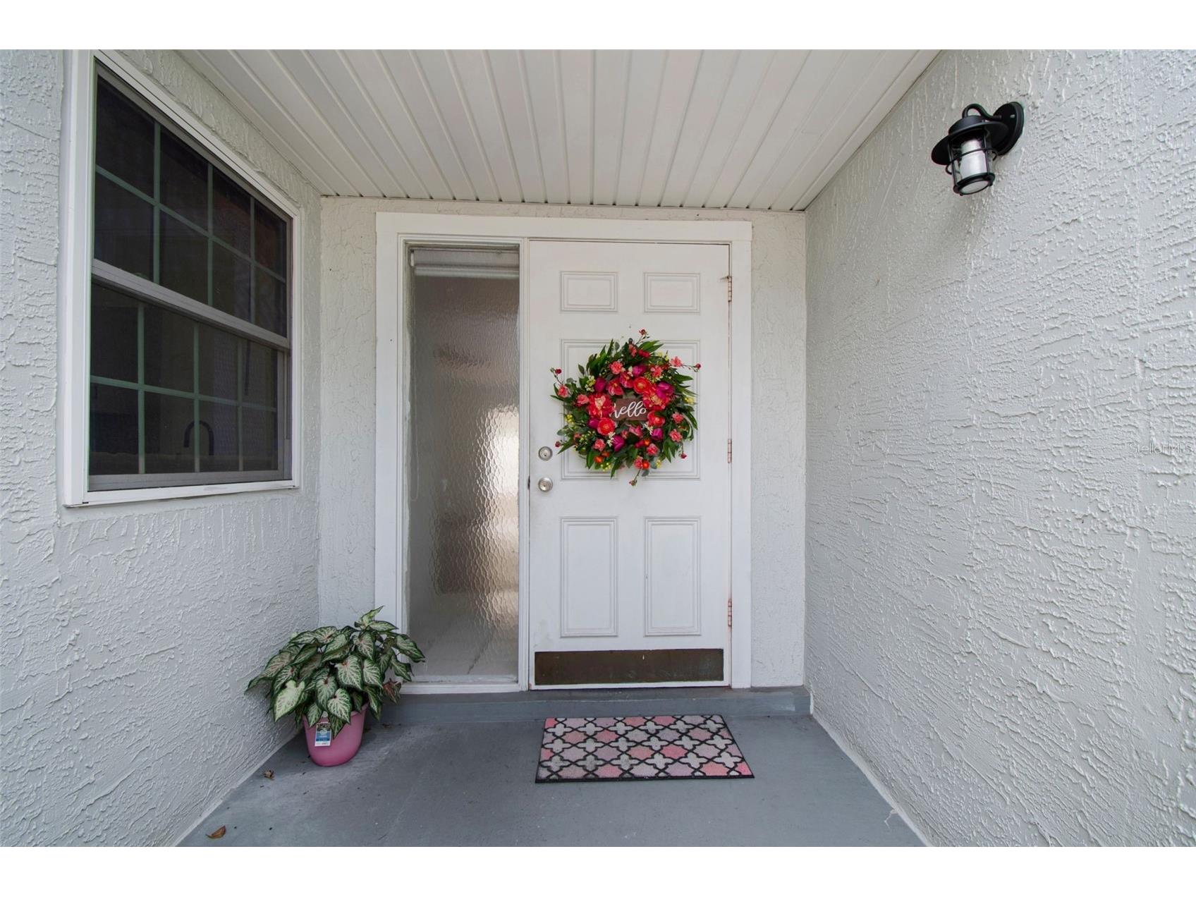 341 Hibiscus Drive Palm Harbor FL 34684 TB8528121 image4