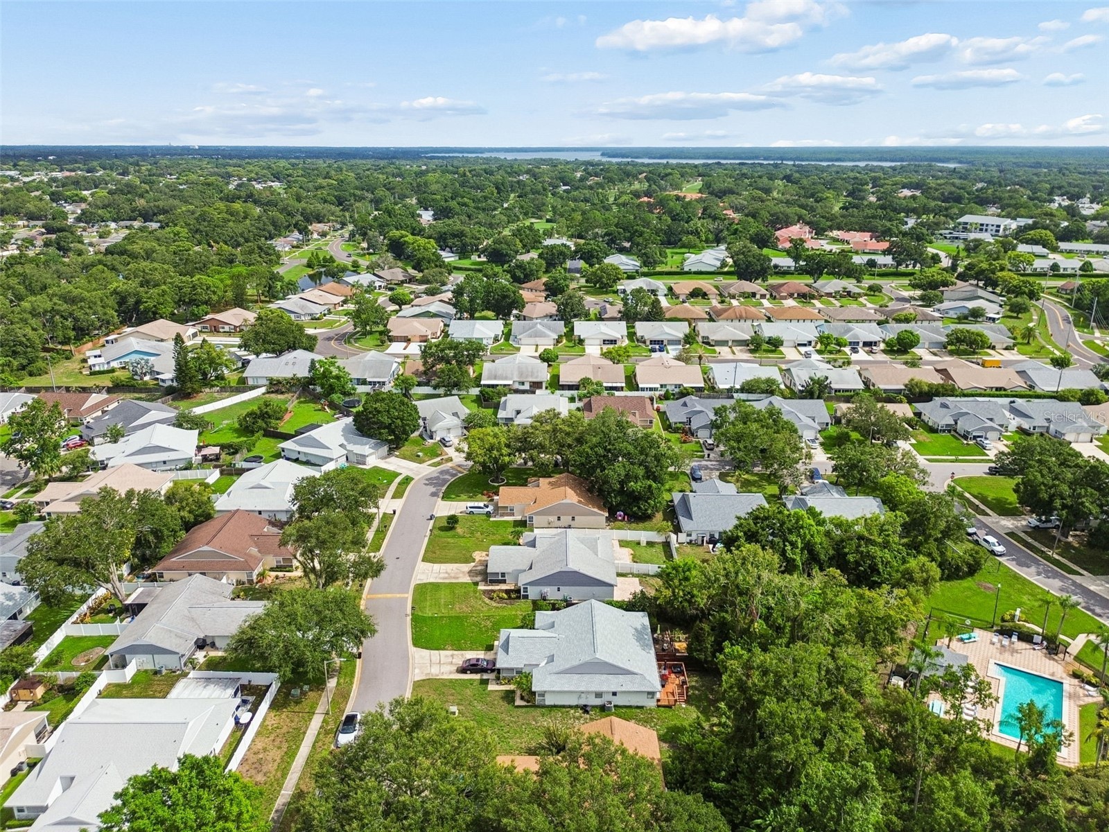341 Hibiscus Drive Palm Harbor FL 34684 TB8528121 image40