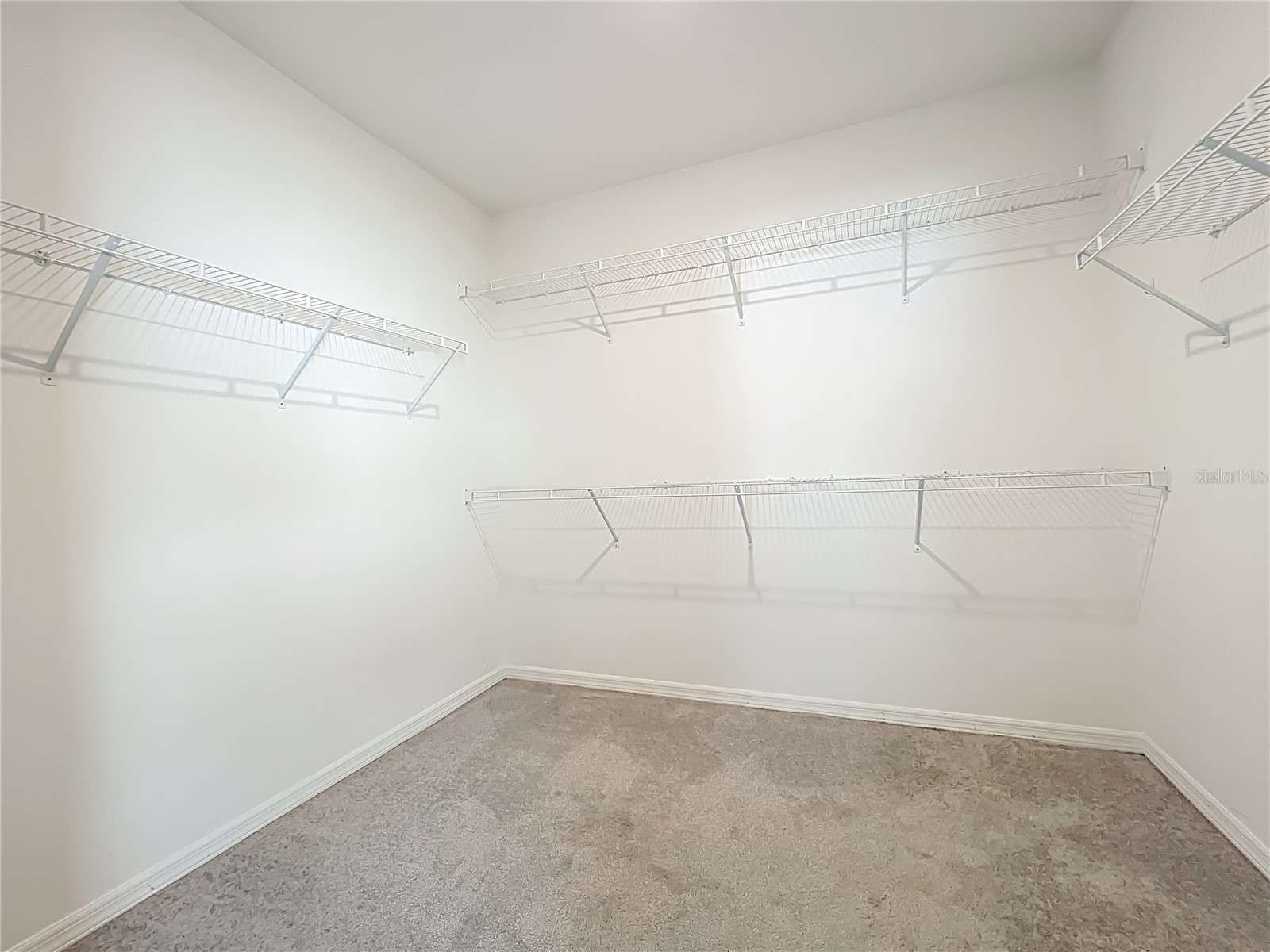 341 Lake Doe Boulevard Apopka FL 32703 O6389913 image35
