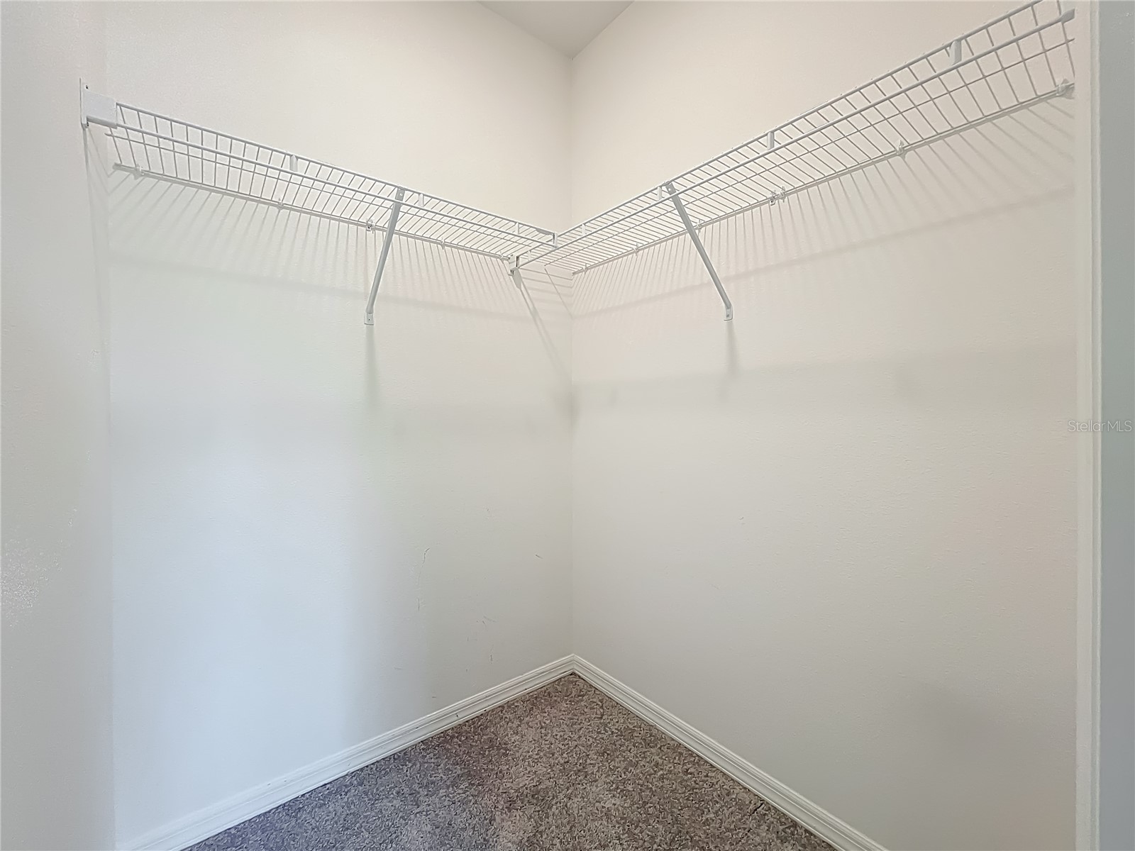 341 Lake Doe Boulevard Apopka FL 32703 O6389913 image40