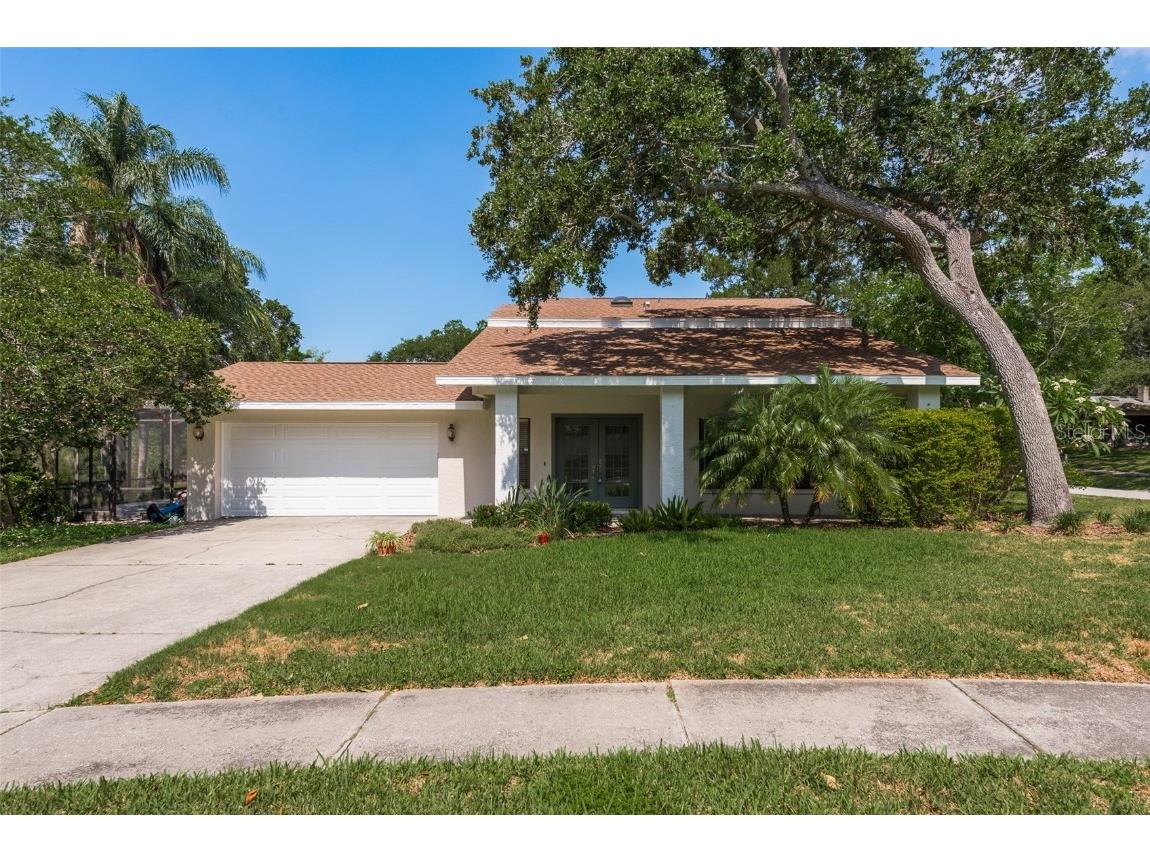 341 Lakeview Terrace Palm Harbor FL 34683 U8244647 image1