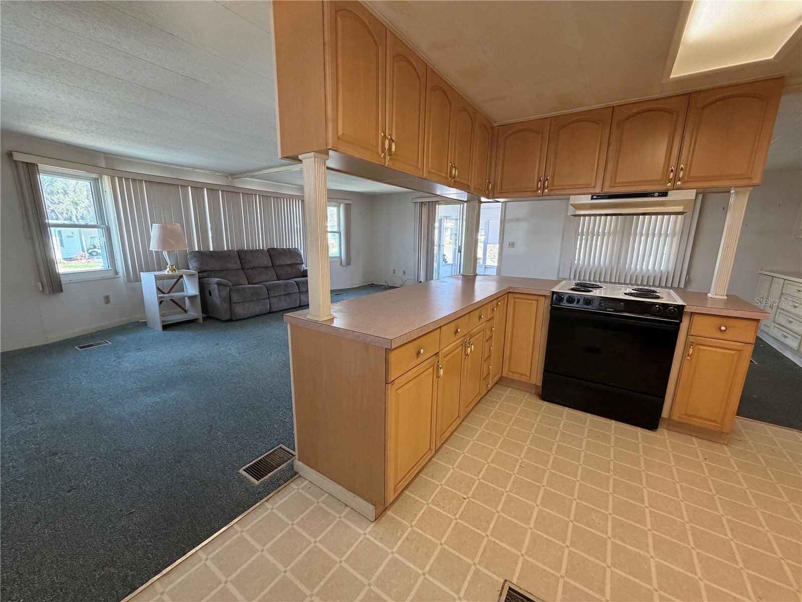 341 Palo Verde Drive Leesburg FL 34748 G5105713 image12