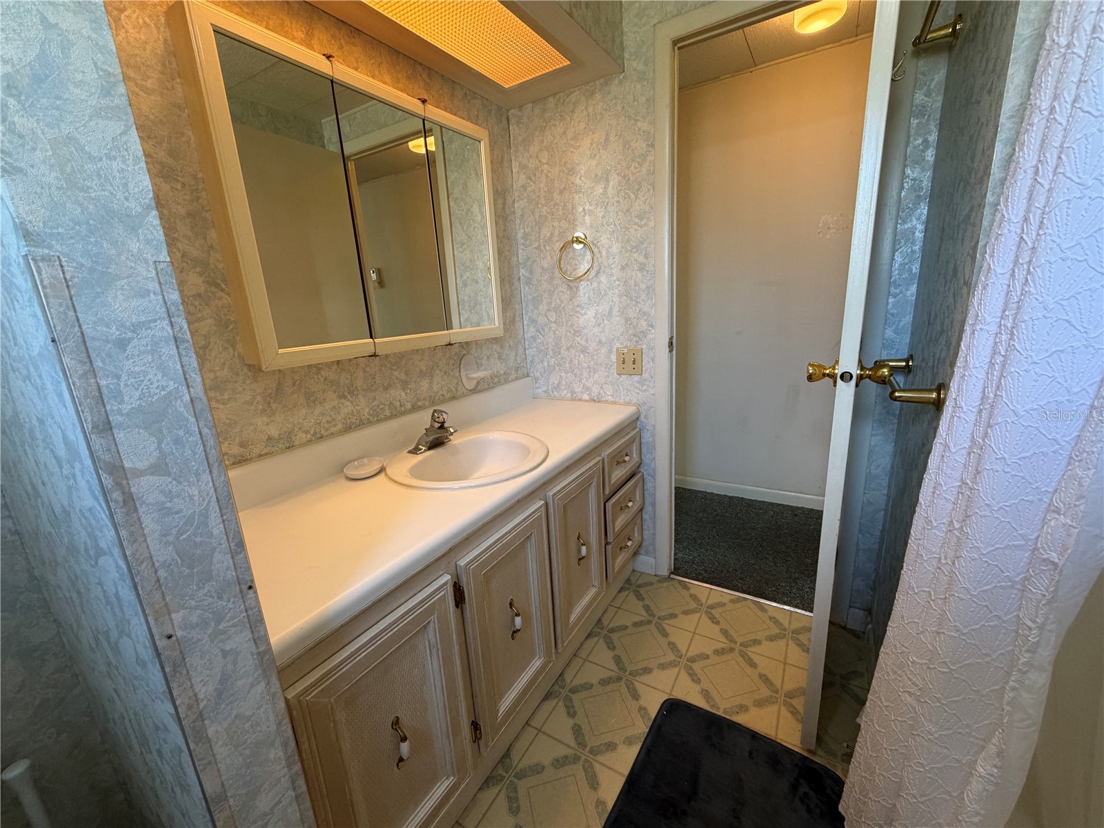 341 Palo Verde Drive Leesburg FL 34748 G5105713 image28