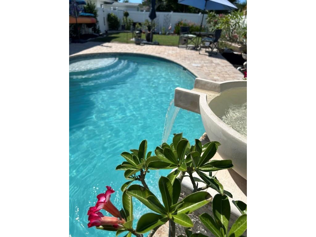 341 Pine Tree Road Venice FL 34293 TB8434735 image5