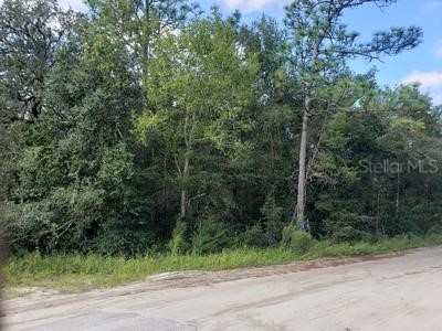 341 S County Road 315 Interlachen FL 32148 OM714643 image5