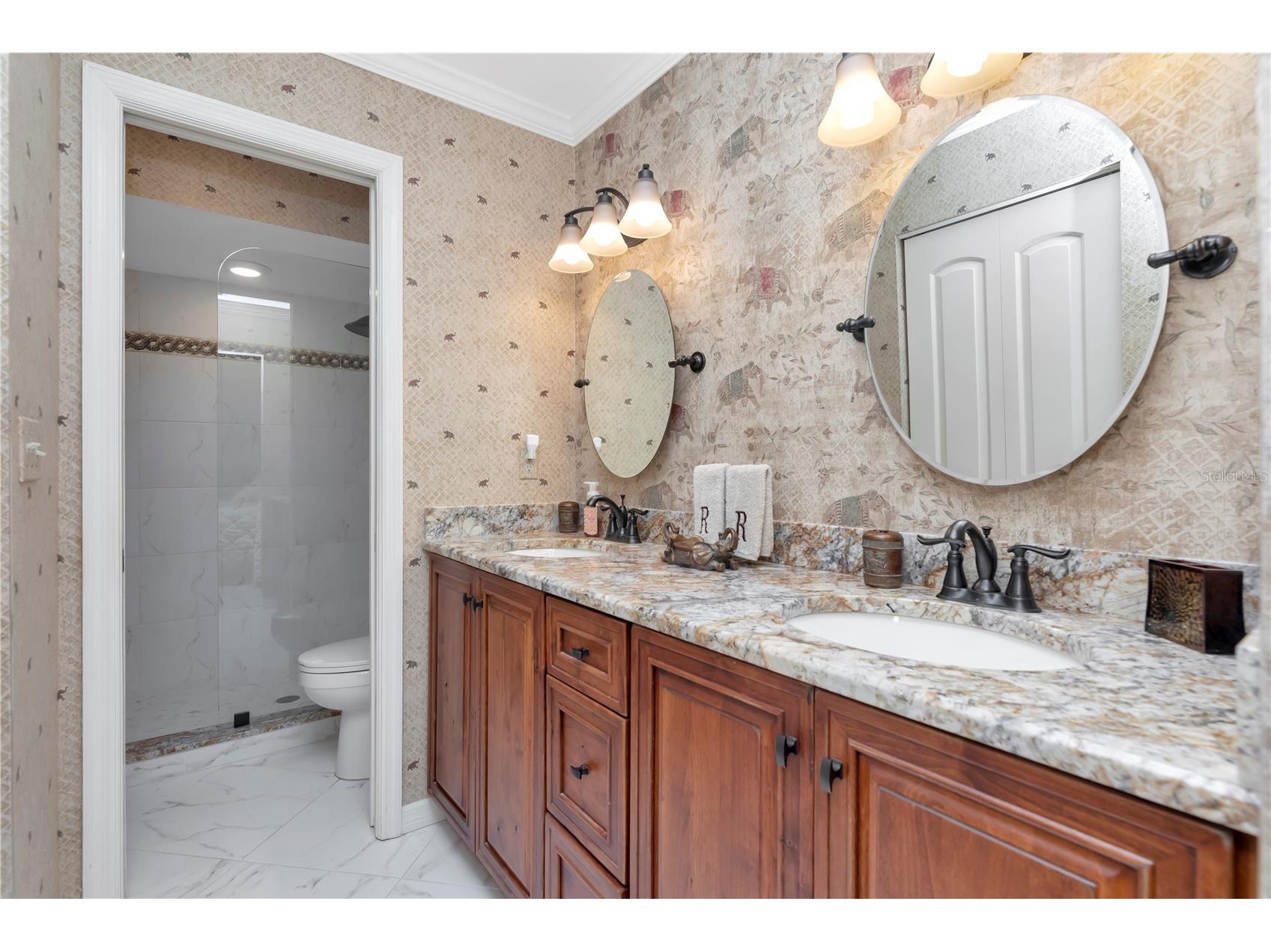 341 Windrush Loop Tarpon Springs FL 34689 - GULF OF MEXICO TB8463151 image10