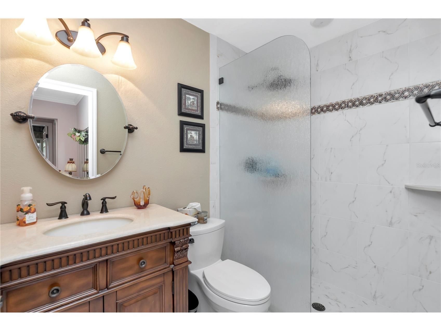 341 Windrush Loop Tarpon Springs FL 34689 - GULF OF MEXICO TB8463151 image14