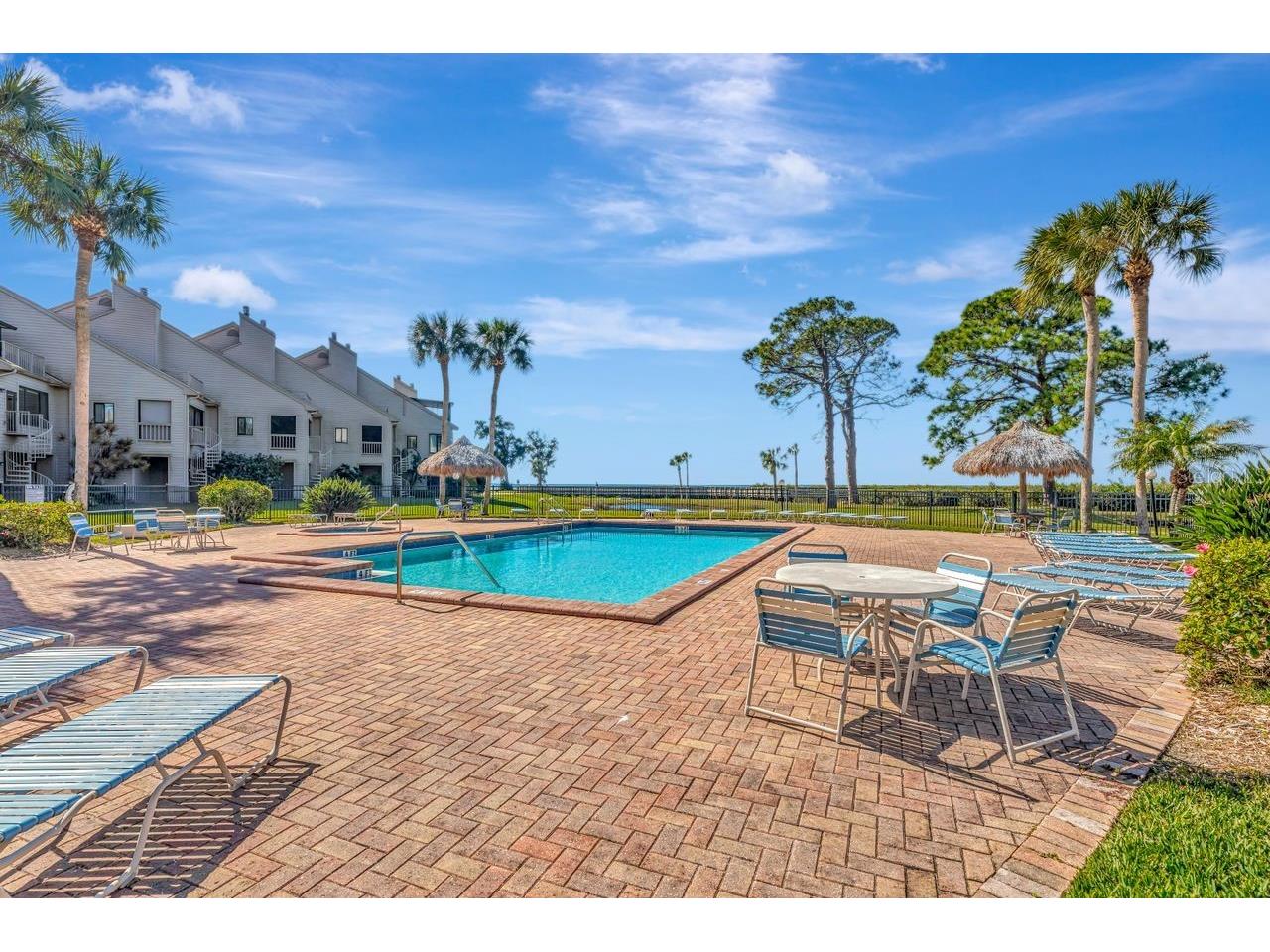 341 Windrush Loop Tarpon Springs FL 34689 - GULF OF MEXICO TB8463151 image17