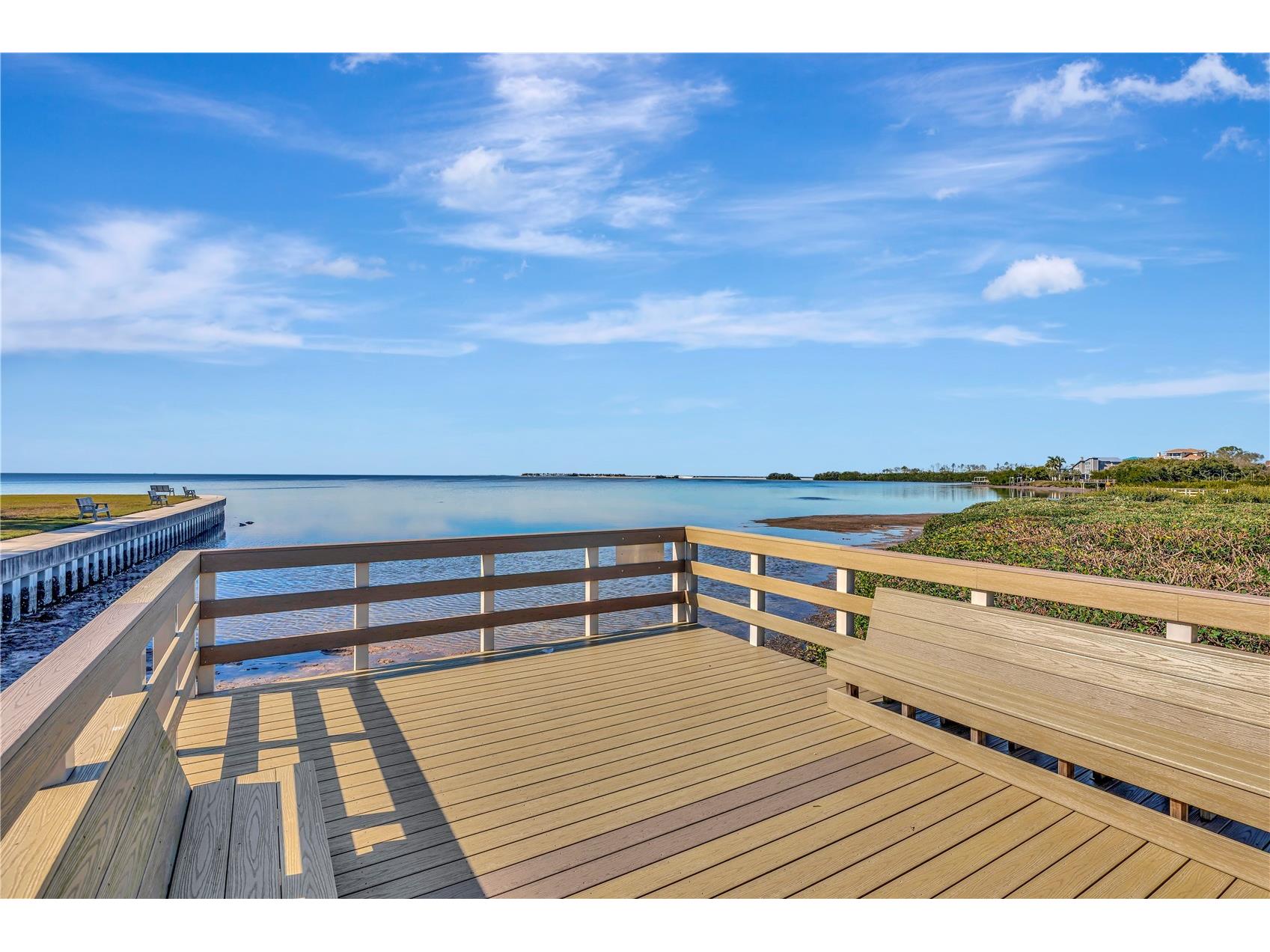 341 Windrush Loop Tarpon Springs FL 34689 - GULF OF MEXICO TB8463151 image19