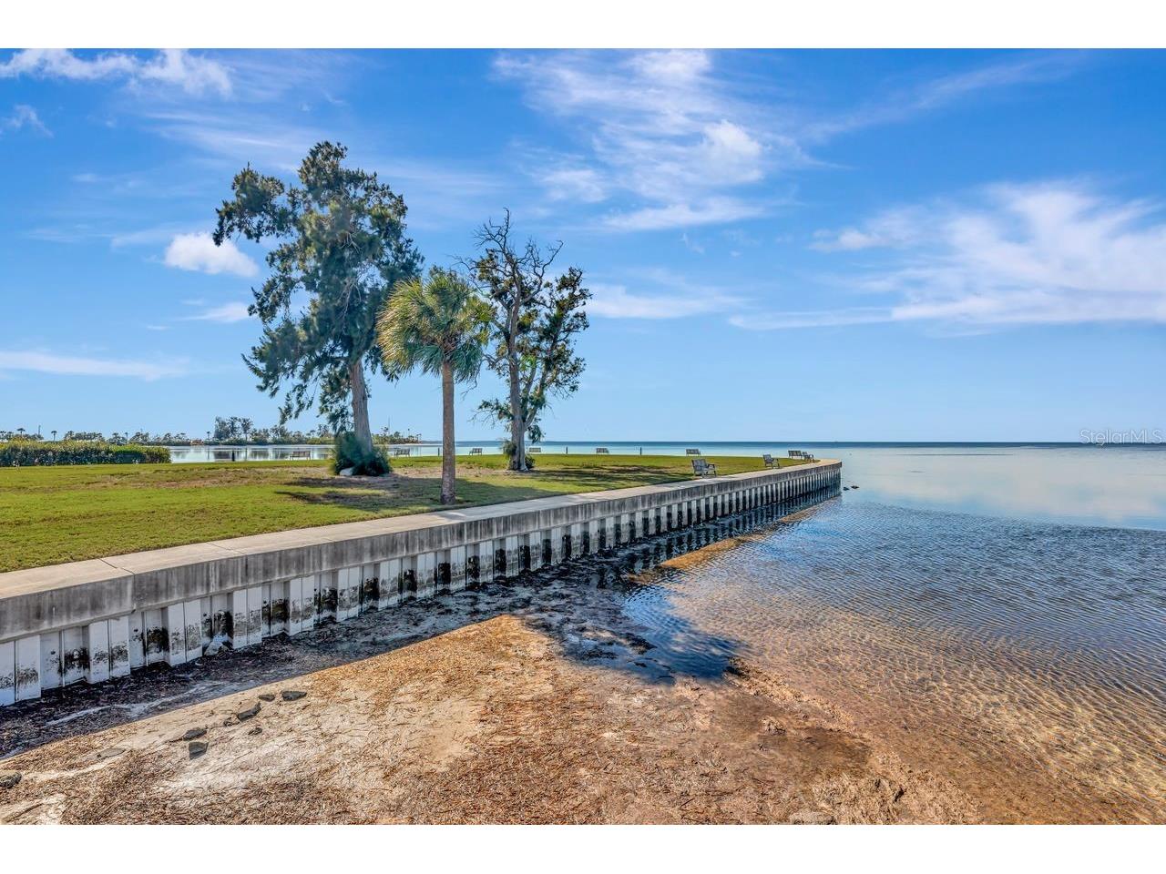 341 Windrush Loop Tarpon Springs FL 34689 - GULF OF MEXICO TB8463151 image20