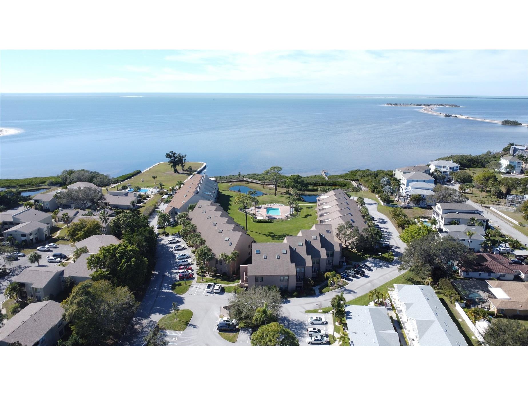 341 Windrush Loop Tarpon Springs FL 34689 - GULF OF MEXICO TB8463151 image22