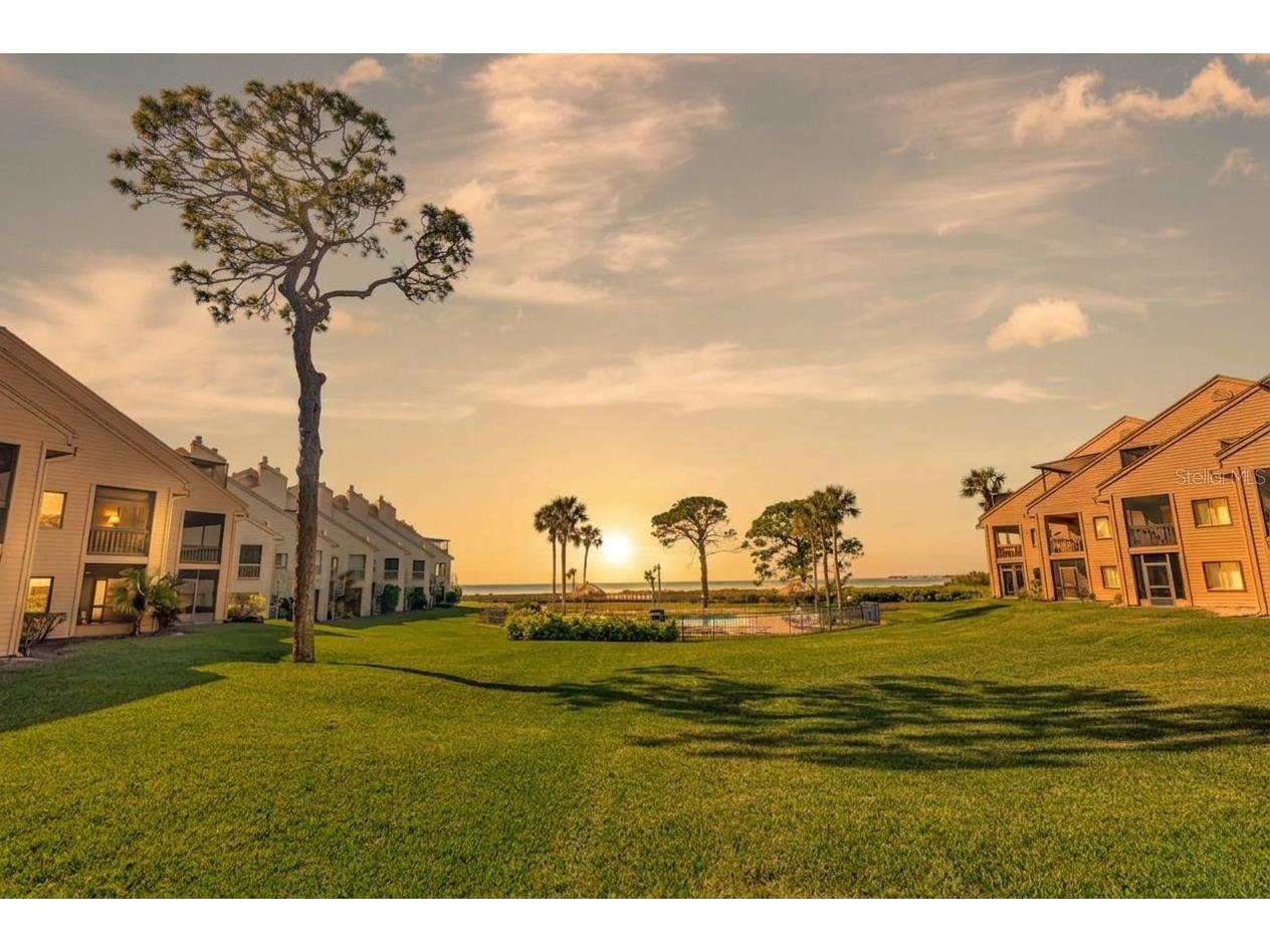 341 Windrush Loop Tarpon Springs FL 34689 - GULF OF MEXICO TB8463151 image28