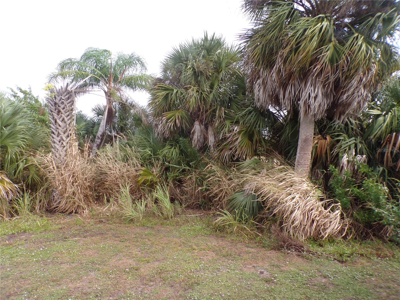 3410 Bayside Parkway Punta Gorda FL 33982 C7521747 image28