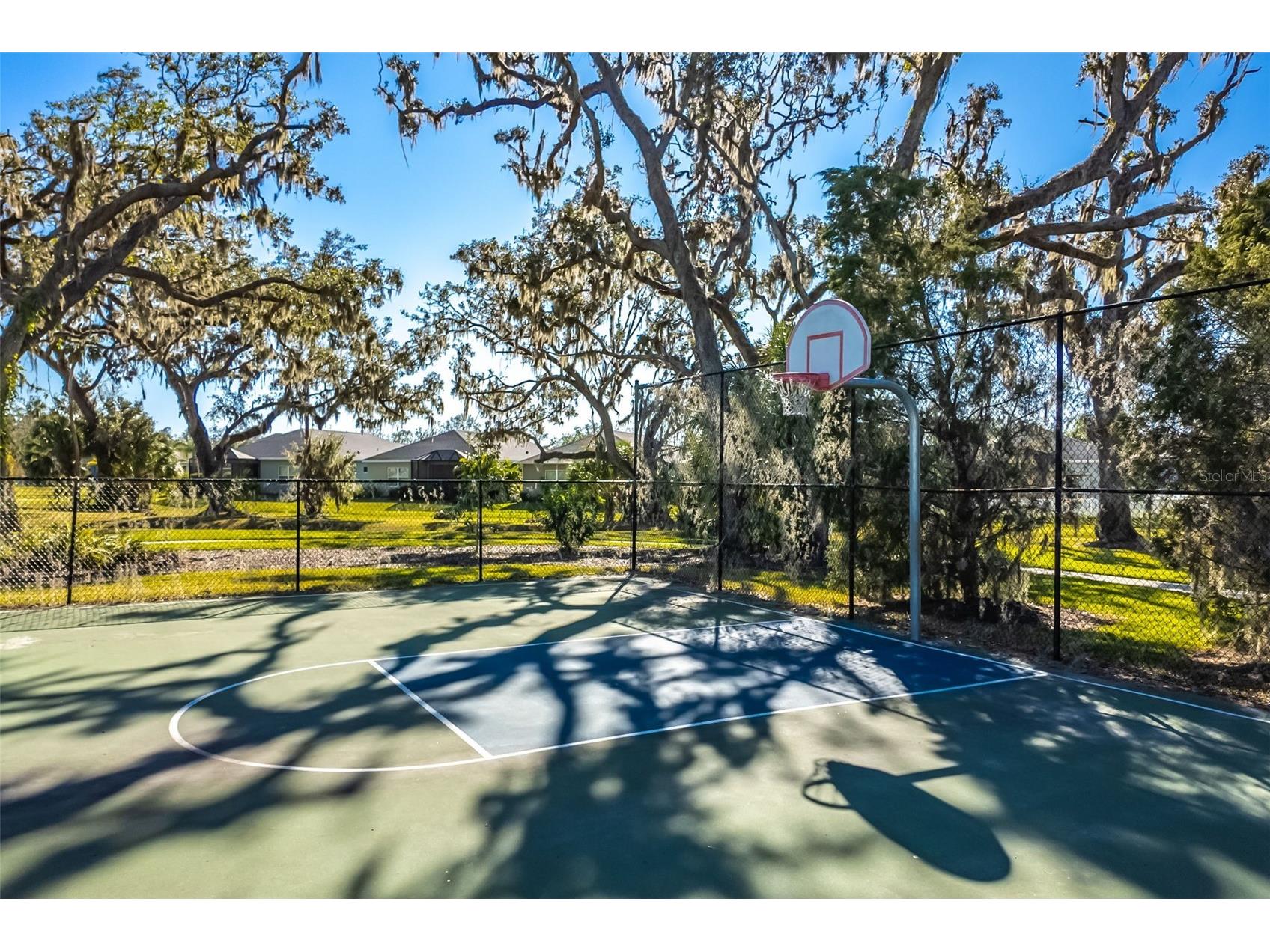 3410 Box Turtle Terrace Parrish FL 34219 A4693879 image88