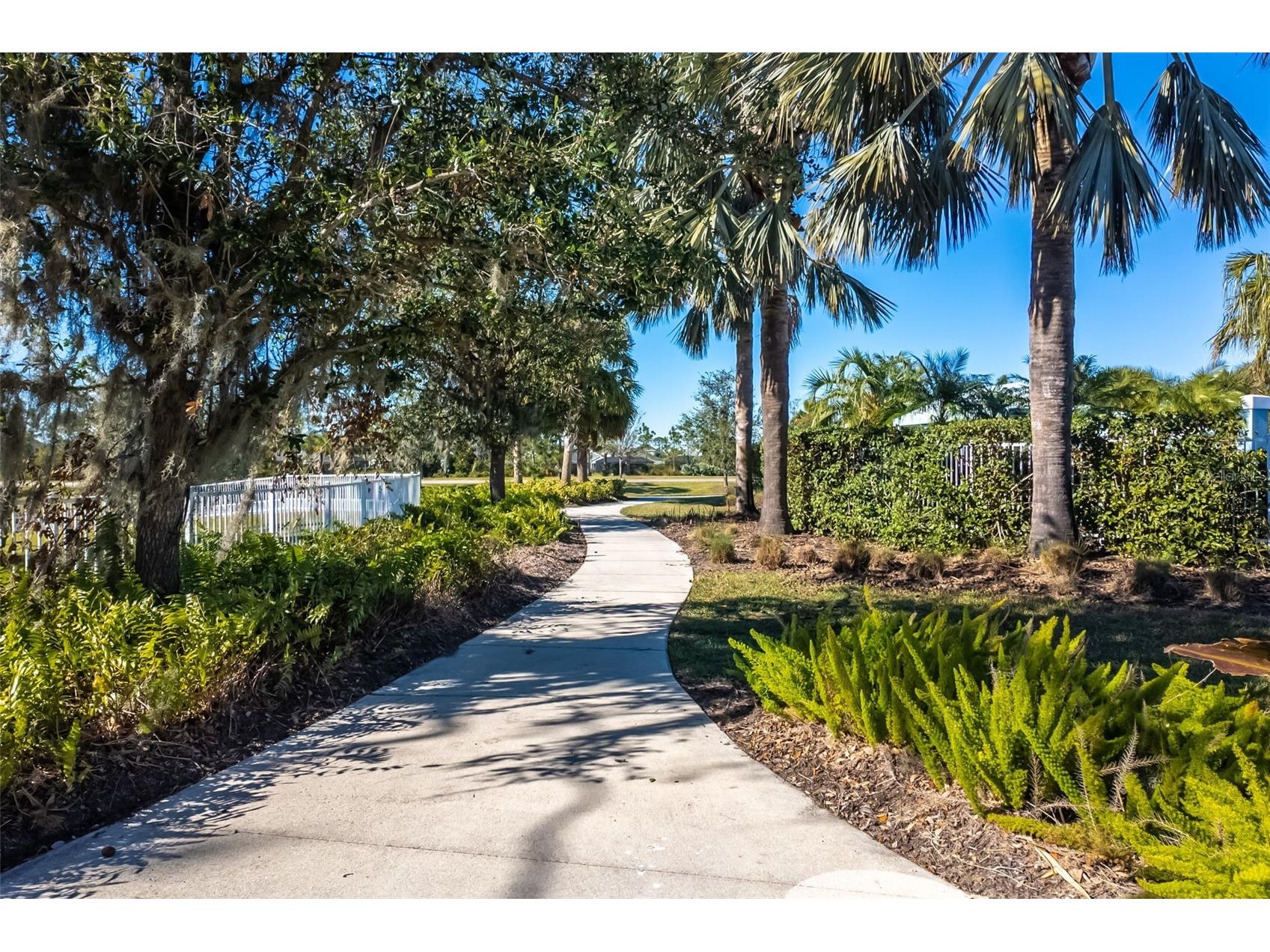 3410 Box Turtle Terrace Parrish FL 34219 A4693879 image94