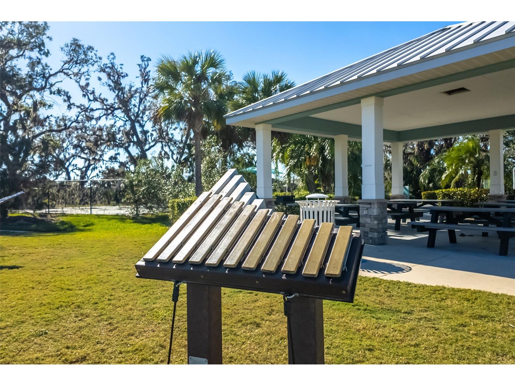 3410 Box Turtle Terrace Parrish FL 34219 A4693879 image96