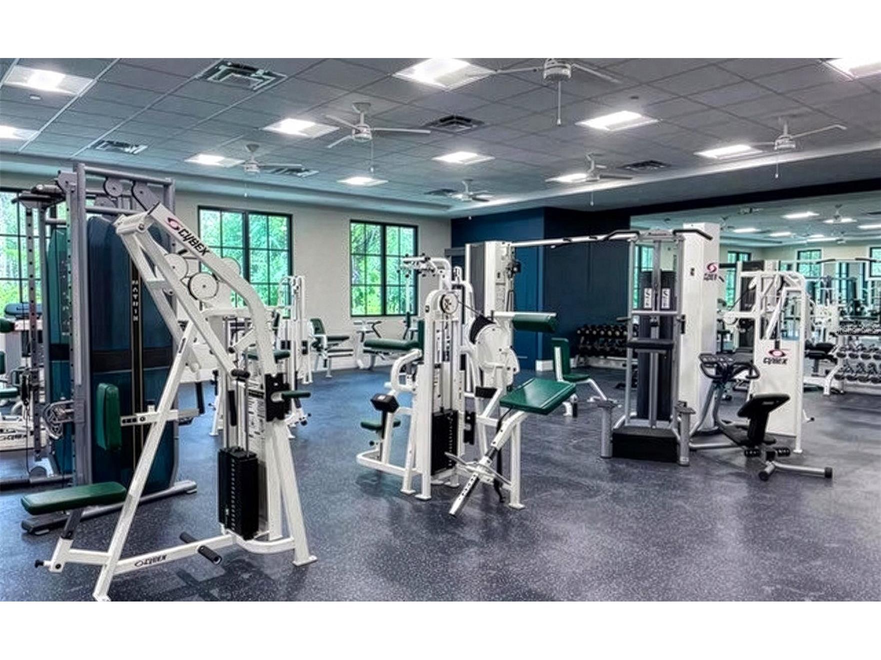 3410 Chelmsford Court #3 Sarasota FL 34235 A4686671 image69