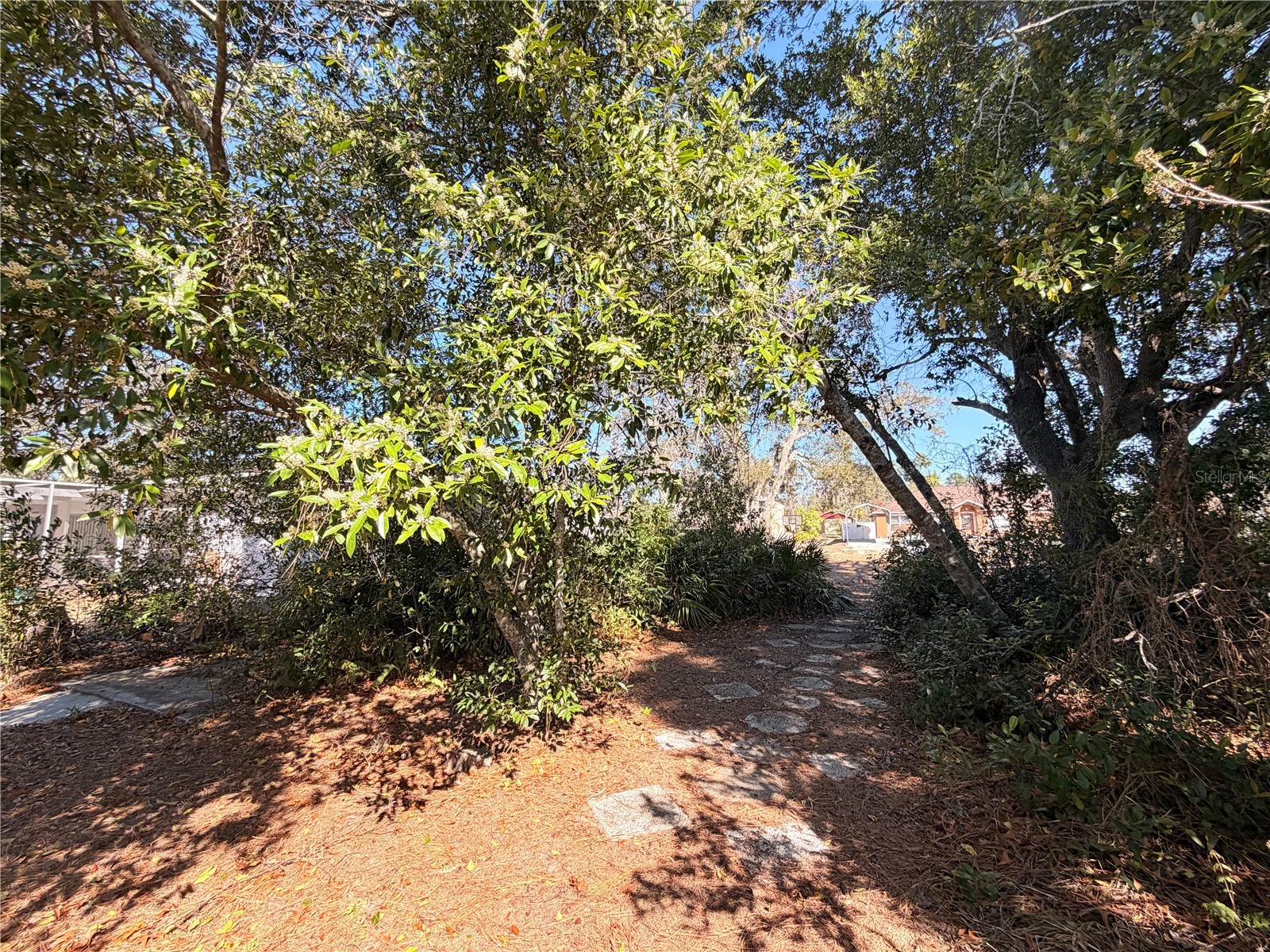 3410 Hartley Road Spring Hill FL 34606 TB8480158 image16