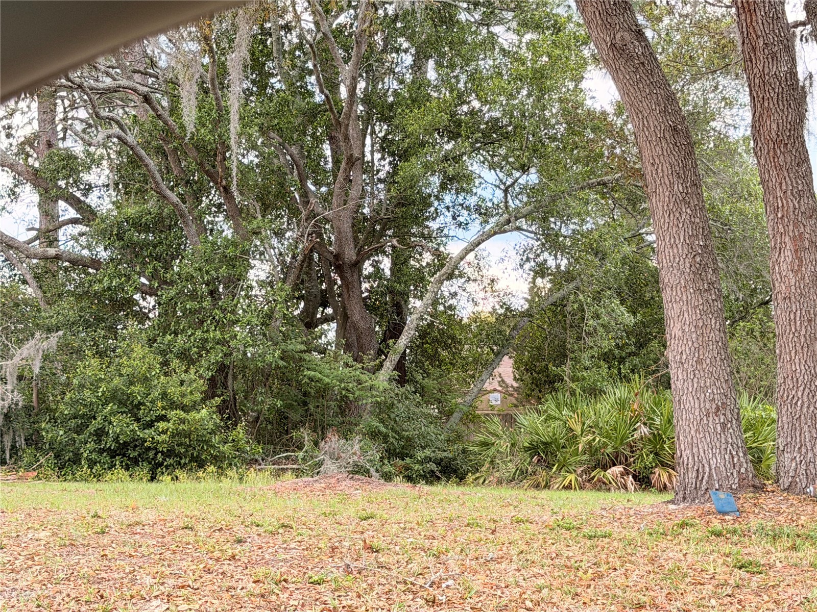 3410 Hartley Road Spring Hill FL 34606 TB8480158 image29