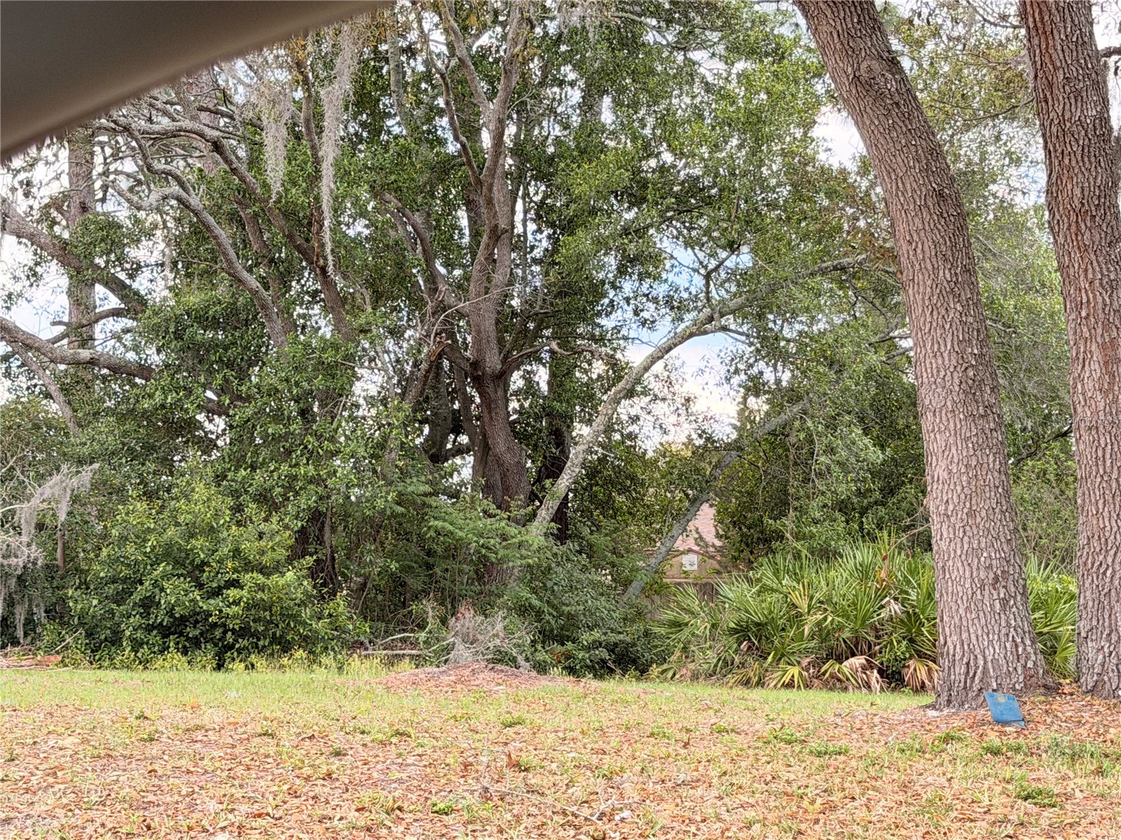 3410 Hartley Road Spring Hill FL 34606 TB8480158 image30