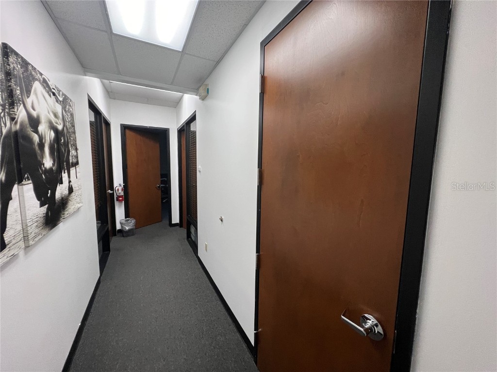 3410 Henderson Boulevard Tampa FL 33609 TB8458666 image9
