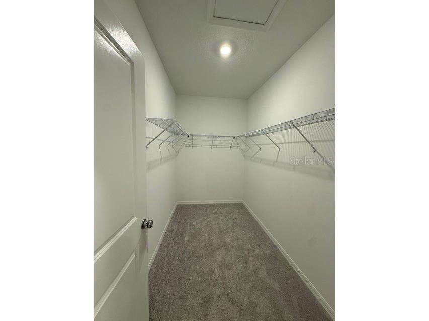 3410 Lapis Lake Drive Zephyrhills FL 33541 TB8444575 image15