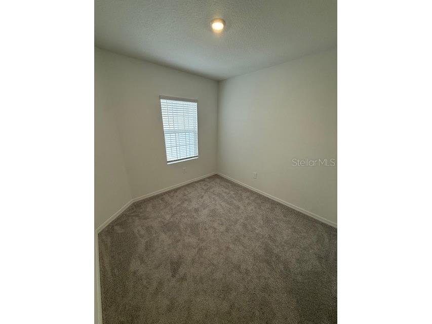 3410 Lapis Lake Drive Zephyrhills FL 33541 TB8444575 image17